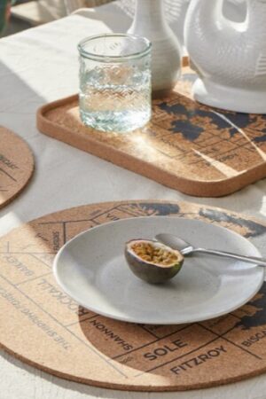 Shipping Forecast - Set of 2 Placemats